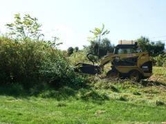 Image of A heavy-duty brush hog takes a bite out of invasive woody plants like tree-of-heaven and autumn olive.