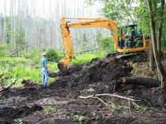 Image of An excavator removes milled asphalt from the edge of freshwater wetlands.