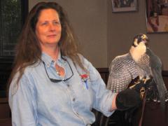 Image of Dianne is a highly regarded wildlife rehabilitation professional. She has been caring for injured and orphaned wildlife since the late 1980s.