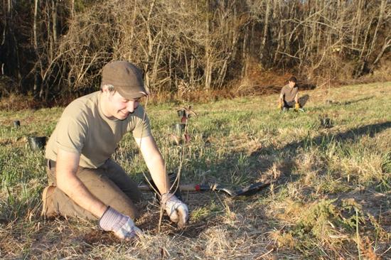Image of Volunteers Jared Rosenbaum (foreground) and John Muth put trees in the ground at Hillsborough's Farm Park!