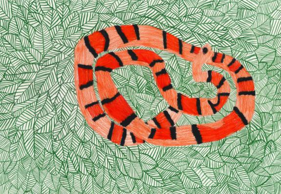 Image of Corn snake. Morris County.