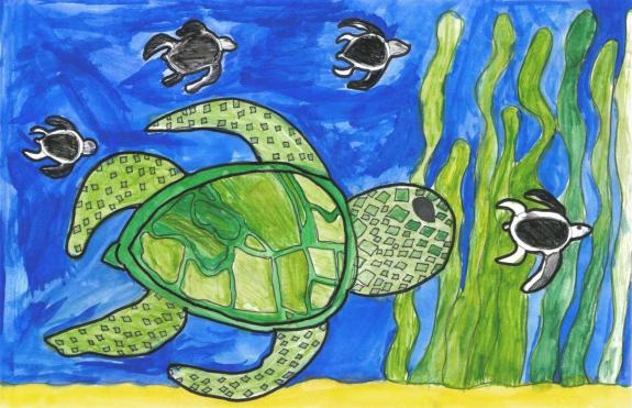 Image of Second Place, Warren County, Atlantic Green Sea Turtle