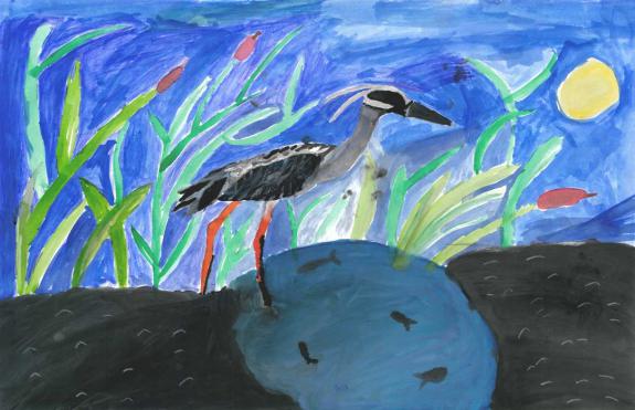 Image of Second Place, Mercer County, Yellow-crowned Night Heron
