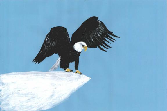 Image of Second Place, Essex County, Bald Eagle