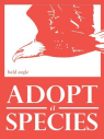 Image of Adopt - Cropped eagle image for use in Widget