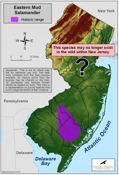 Image of Range of the Eastern mud salamander in New Jersey.