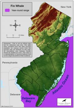 Image of Range of the Fin whale off New Jersey's coast.