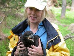 Image of In founding Conserve Wildlife Foundation of NJ, Linda Tesauro helped insure the protection of eaglets and other rare wildlife.