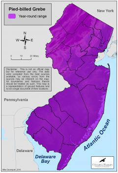Image of Range of the Pied-billed grebe in New Jersey.