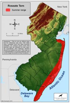 Image of Range of the Roseate tern in New Jersey.