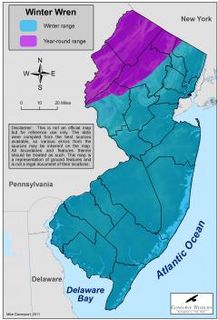 Image of Range of the winter wren in New Jersey.
