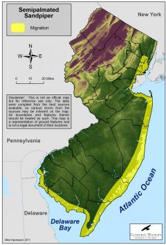 Image of Range of the semipalmated sandpiper in New Jersey.