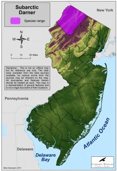 Image of Range of the subarctic darner in New Jersey.
