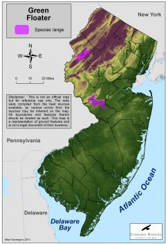 Image of Range of the green floater in New Jersey.