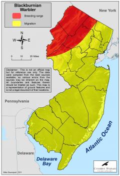 Image of Range of the blackburnian warbler in New Jersey.