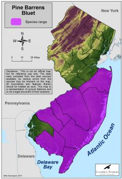 Image of Range of the Pine Barrens bluet in New Jersey.