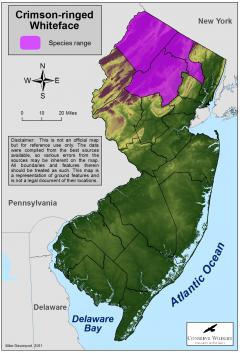 Image of Range of the crimson-ringed whiteface in New Jersey.