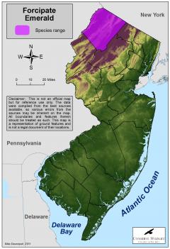 Image of Range of the forcipate emerald in New Jersey.
