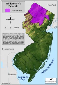 Image of Range of the Williamson's emerald in New Jersey.