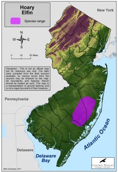 Image of Range of the hoary elfin in New Jersey.