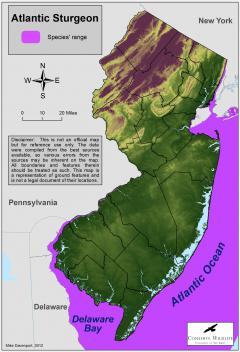 Image of Range of the Atlantic sturgeon in New Jersey.