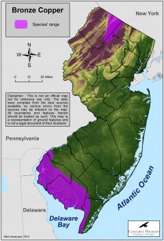 Image of Range of the bronze copper in New Jersey.