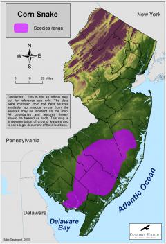 Image of Range of the corn snake in New Jersey.