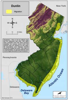 Image of Range of the dunlin in New Jersey.