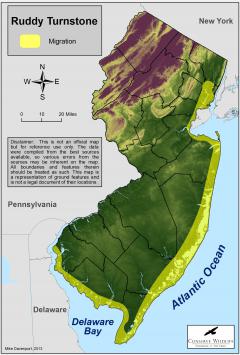 Image of Range of the ruddy turnstone in New Jersey.