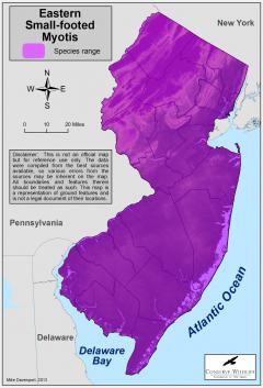 Image of Range of the Eastern small-footed myotis in New Jersey.