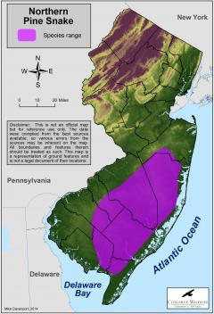 Image of Range of the northern pine snake in New Jersey.