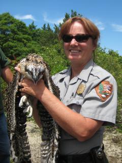 Image of Jeanne McArthur-Heuser has dedicated herself to protecting Sandy Hook’s natural resources and diverse wildlife.