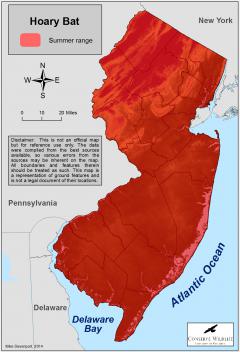 Image of Range of the hoary bat in New Jersey.