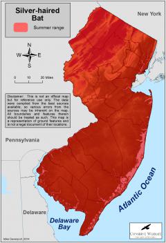 Image of Range of the silver-haired bat in New Jersey.