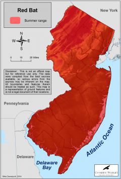 Image of Range of the red bat in New Jersey.