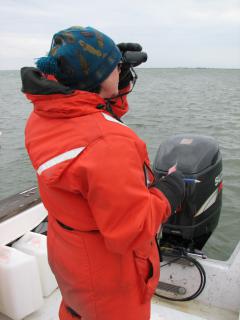 Image of Dr. Carol Slocum, surveying at New Jersey's largest seal colony. © Mike Davenport