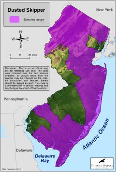 Image of Range of the dusted skipper in New Jersey.