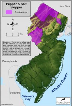Image of Range of the pepper and salt skipper in New Jersey.