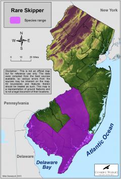 Image of Range of the rare skipper in New Jersey.