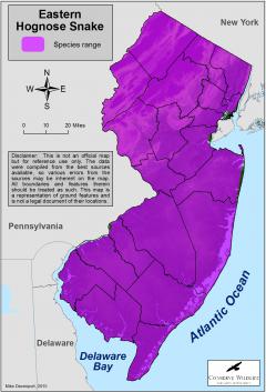 Image of Range of the eastern hognose snake in New Jersey.