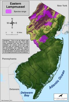 Image of Range of the eastern lampmussel in New Jersey.