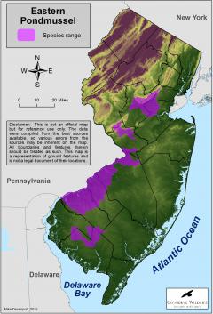 Image of Range of the eastern pondmussel in New Jersey.