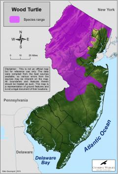Image of Range of the wood turtle in New Jersey.