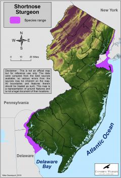 Image of Range of the shortnose sturgeon in New Jersey.