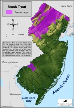 Image of Range of the brook trout in New Jersey.