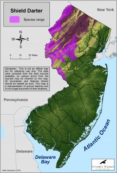 Image of Range of the shield darter in New Jersey.