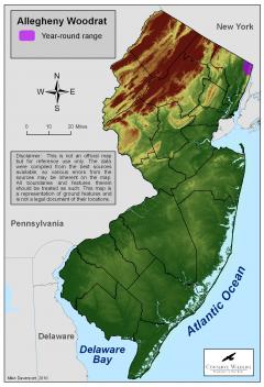 Image of Range of the Allegheny woodrat in New Jersey.
