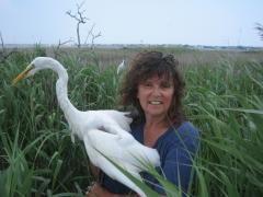 Image of Joanna Burger holds a Great egret. She has studied population dynamics, reproductive success and contaminants in colonial birds for the past 30 years.