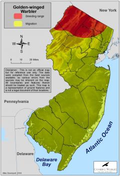 Image of Range of the golden-winged warbler in New Jersey.