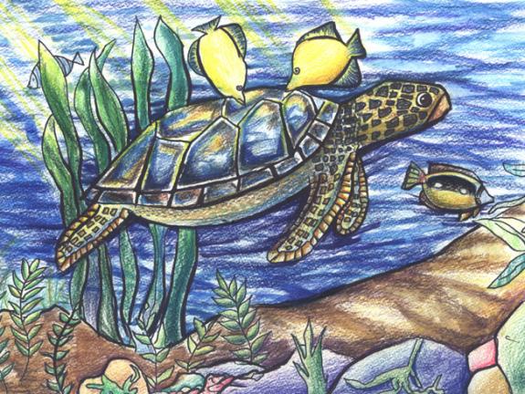 Image of Green sea turtle.
